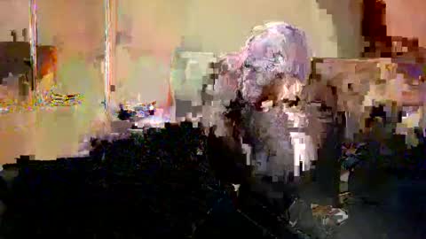 Snapshot of _yummybabes_ chatting on 20, 5, 2026 Nicole Thomas Dave online show from 20, 5, 2026