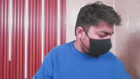 Sleepy owl online show from 8, 11, 2025