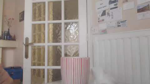 Aalex1717 online show from 14, 1, 2026