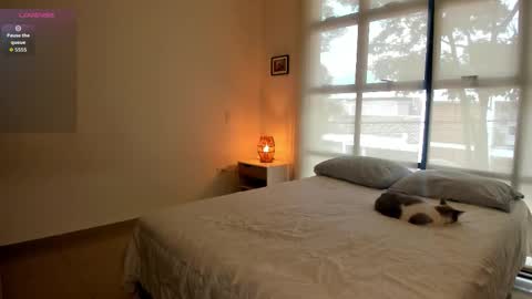 Aaron online show from 26, 3, 2026