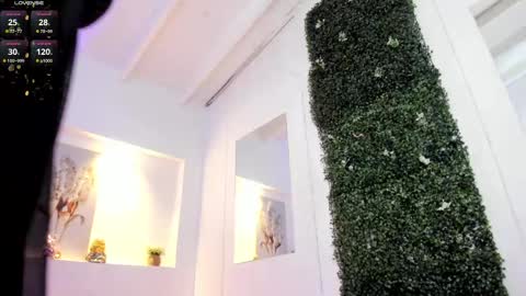 Abby  online show from 11, 2, 2025