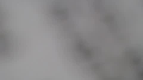 ABBY online show from 5, 2, 2025