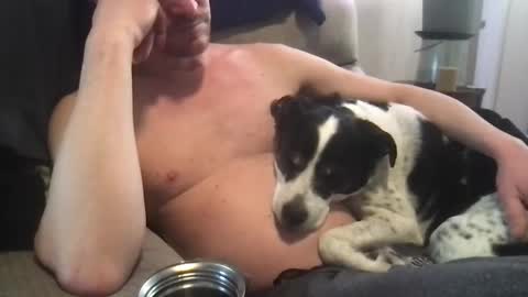 abe_froman2007 online show from 8, 3, 2025