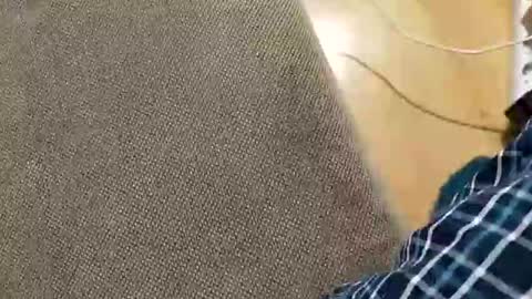 abepenix7 online show from 23, 3, 2026