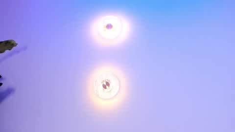 Abi online show from 27, 9, 2025