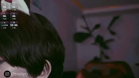 April  online show from 20, 12, 2025