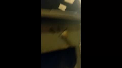 adam000985057 online show from 31, 1, 2025