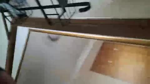 adamlucas54321s773712 online show from 8, 10, 2025