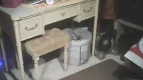 Snapshot of adamsny chatting on 15, 1, 2025 adamsny online show from 15, 1, 2025