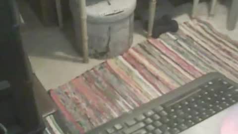 Snapshot of adamsny chatting on 9, 11, 2025 adamsny online show from 9, 11, 2025