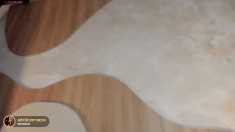 Snapshot of adelineevanss chatting on 28, 11, 2025 adeline online show from 28, 11, 2025