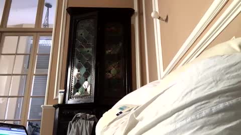 Snapshot of adrienfromparis chatting on 19, 3, 2026 adrienfromparis online show from 19, 3, 2026