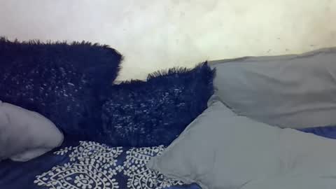 Snapshot of afrii_kity chatting on 17, 4, 2026 afrii_kity online show from 17, 4, 2026