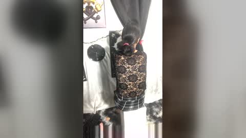 Snapshot of afroluz chatting on 27, 4, 2026 afroluz online show from 27, 4, 2026