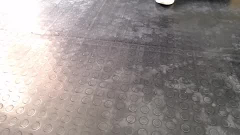 Snapshot of agata_darkness chatting on 16, 12, 2025 Miss Agata online show from 16, 12, 2025