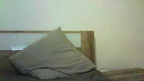 Selena online show from 4, 11, 2025