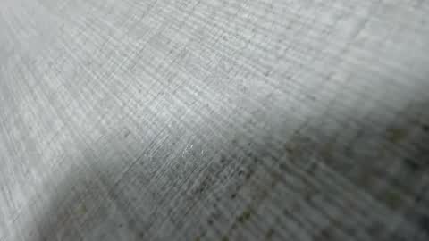 Aisha online show from 31, 3, 2026