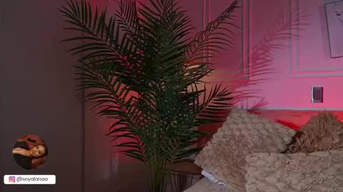 Snapshot of alana_haze chatting on 17, 3, 2026 Alana online show from 17, 3, 2026