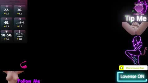 Snapshot of alaskasky chatting on 3, 2, 2025 TheAlaskaSky online show from 3, 2, 2025