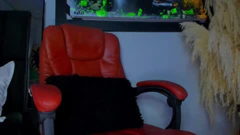 Snapshot of aleja_rogers996 chatting on 1, 12, 2024 Alejandra online show from 1, 12, 2024