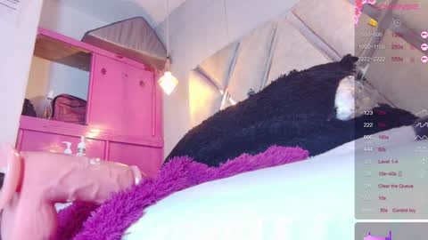 alejandra martins online show from 12, 1, 2025