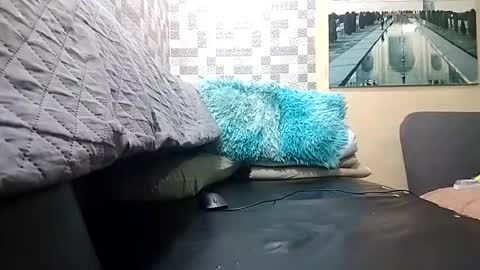 haden online show from 1, 4, 2026