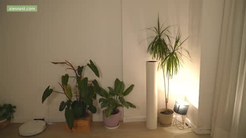 Snapshot of alemaniababe chatting on 6, 4, 2026 Ale online show from 6, 4, 2026