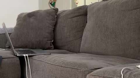 Snapshot of alex_ruiz_ chatting on 3, 11, 2025 Alex online show from 3, 11, 2025