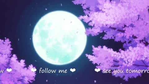     online show from 19, 12, 2024