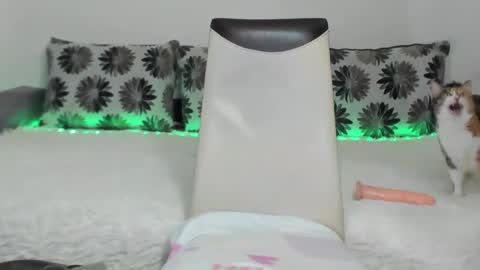 Snapshot of alexatight chatting on 11, 1, 2025 Alexa online show from 11, 1, 2025