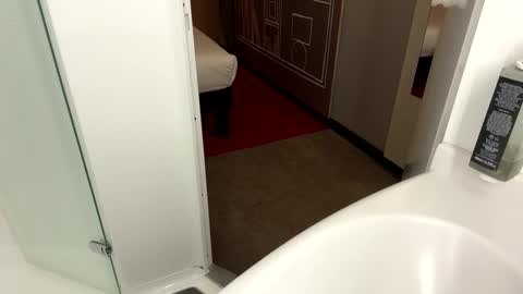 Snapshot of alexfck2005 chatting on 8, 12, 2024 alexfck2005 online show from 8, 12, 2024