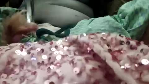 alexis0007754689 online show from 6, 1, 2026