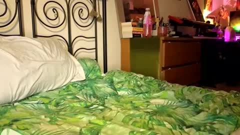 Snapshot of alexrhodesxxx chatting on 22, 12, 2024 Alex online show from 22, 12, 2024