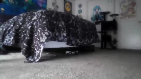 Alex Vines online show from 14, 3, 2026