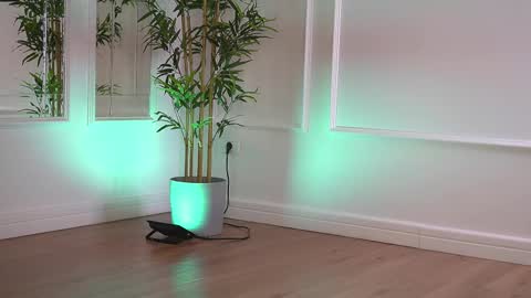 alexxiskye online show from 6, 1, 2026