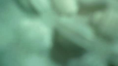 Snapshot of ali_asianguyuk chatting on 1, 12, 2025 ali_asianguyuk online show from 1, 12, 2025