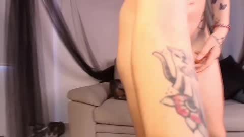 Alice Dark online show from 15, 3, 2026