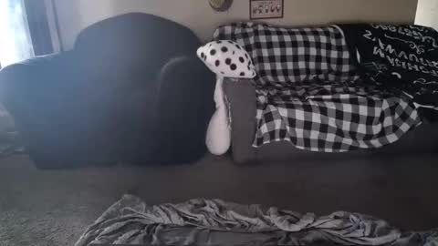 alice_leray online show from 26, 5, 2026