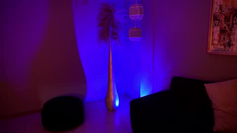 Alice online show from 5, 2, 2026