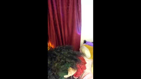 Snapshot of alicekingdom chatting on 8, 2, 2026 Alicekingdom online show from 8, 2, 2026