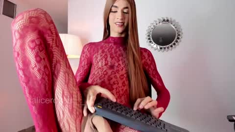 Snapshot of alicerosee___ chatting on 11, 4, 2026 alicerosee___ online show from 11, 4, 2026