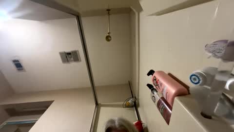 Alices Curiosity online show from 17, 12, 2024