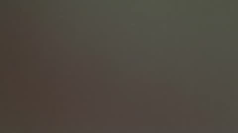 Snapshot of aliencowgirl444 chatting on 14, 3, 2026 spaceprincess online show from 14, 3, 2026