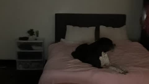 Snapshot of aliencowgirl444 chatting on 22, 4, 2026 spaceprincess online show from 22, 4, 2026