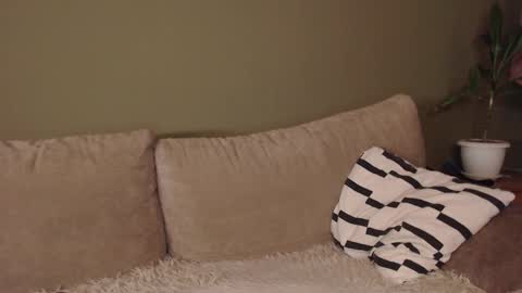 Snapshot of alisaxxxshy chatting on 3, 2, 2026 alisaxxxshy online show from 3, 2, 2026