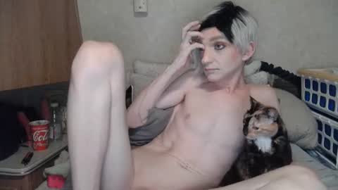 Alisha online show from 10, 7, 2026