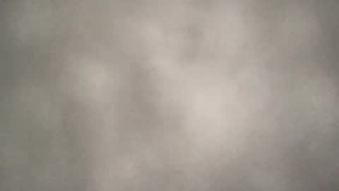 all_most_sane online show from 7, 8, 2026