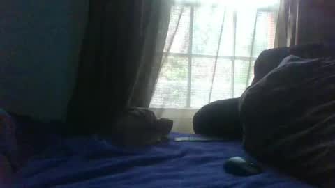 allbermy online show from 23, 2, 2025