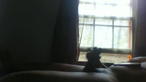 allbermy online show from 11, 11, 2025