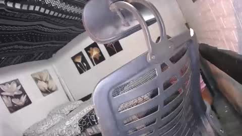 trina online show from 16, 12, 2025